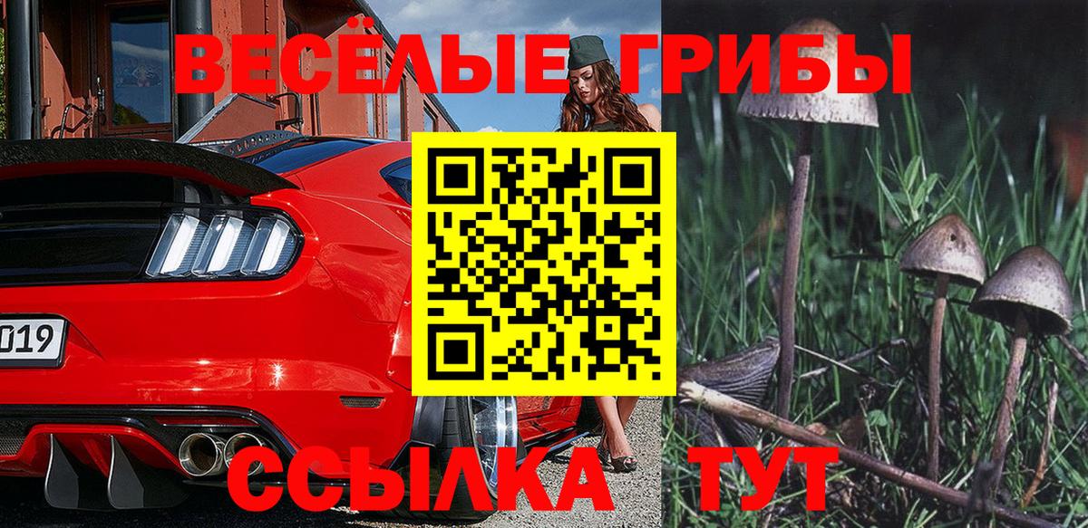 Костомукша  Галлюциногенные грибы Psilocybine cubensis  Вход с VPN  Псилоцибиновые грибы MAGIC MUSHROOMS 